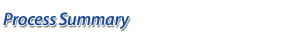 Process Summary